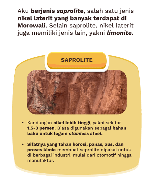 Aku berjenis saprolite, salah satu jenis nikel laterit yang banyak terdapat di Morowali. Selain saprolite, nikel laterit juga memiliki jenis lain, yakni limonite.